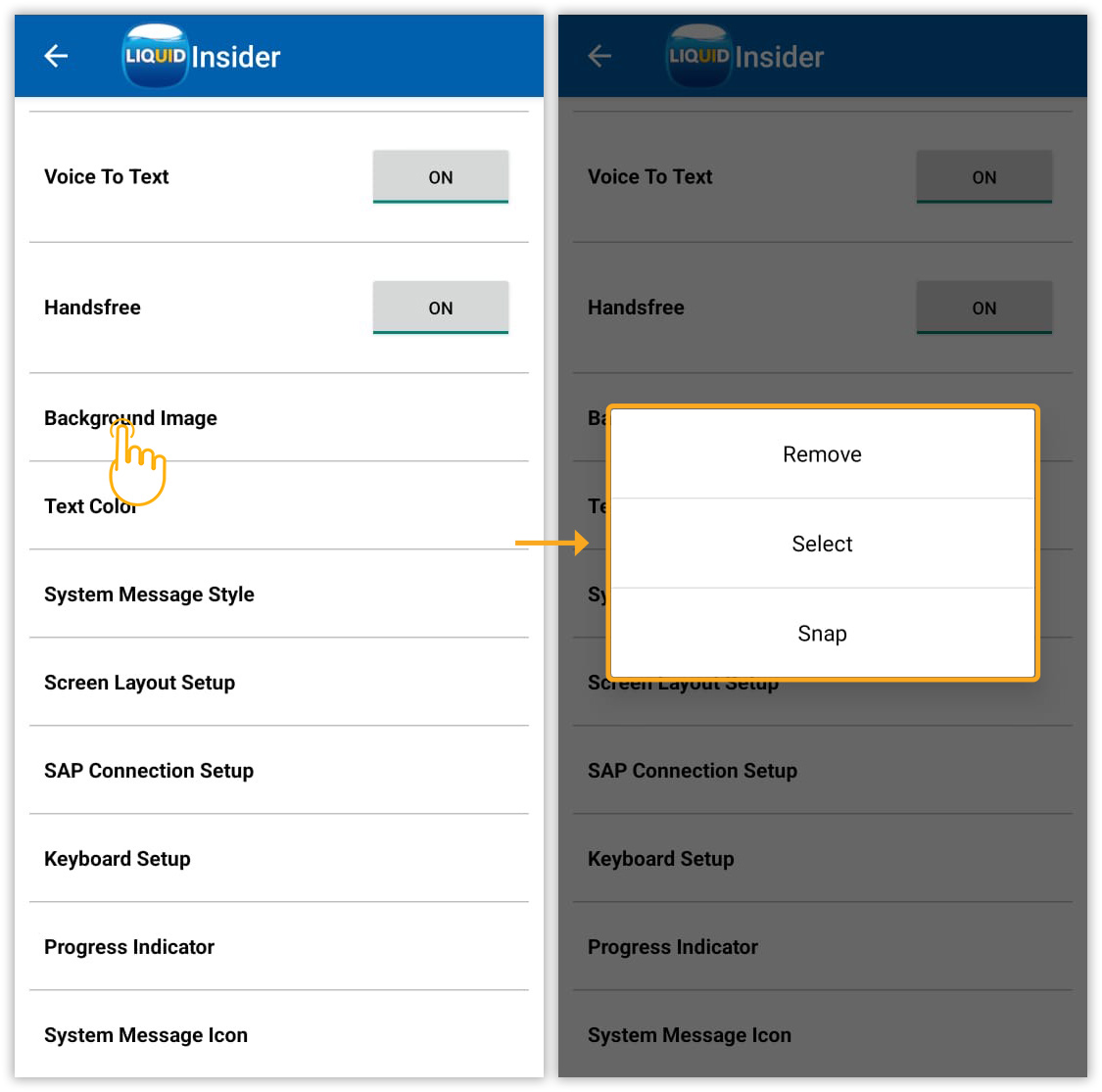 Customize SAP screen background by removing, selecting, or snapping an image