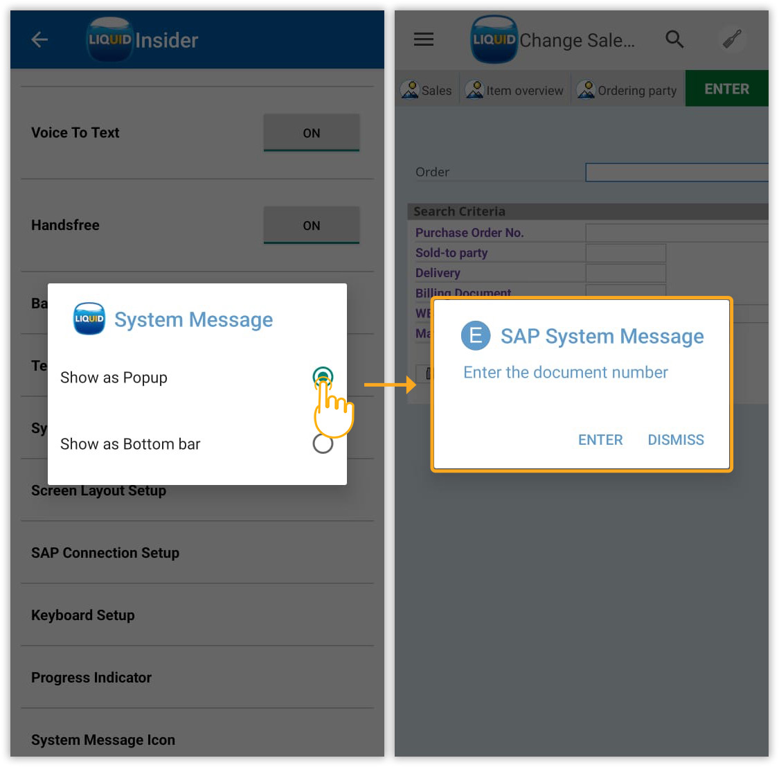 Displays SAP system messages in a pop-up window