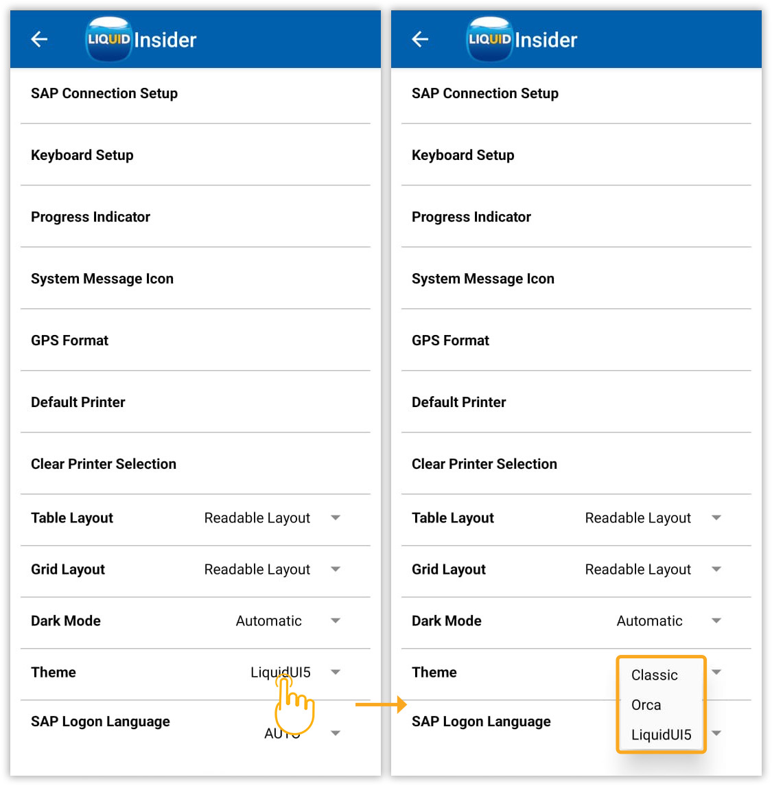 Customize app appearance by selecting Classic, Orca, or LiquidUI5 theme